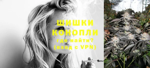 индика Покров