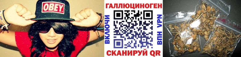 OMG зеркало  Томмот  Галлюциногенные грибы MAGIC MUSHROOMS 